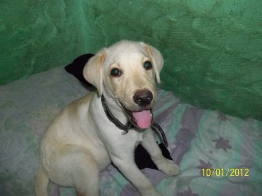 hermoso el bebe de mama!!